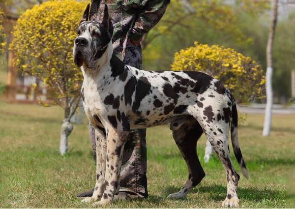 ������Ȯ����ЩƷ��