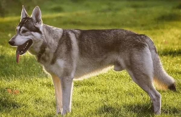 ��5�ֹ������ǣ���ʿ����ѡ���������������������˫��