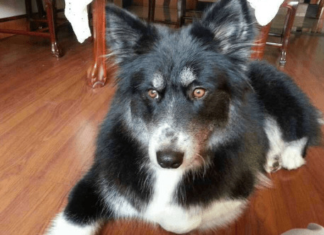 ��5�ֹ������ǣ���ʿ����ѡ���������������������˫��