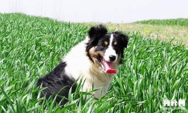 5����ζ��ô����Ĺ�������ֵ��ӵ�У�