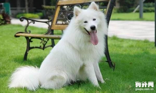 5����ζ��ô����Ĺ�������ֵ��ӵ�У�