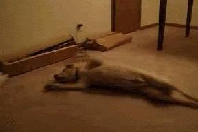 ����˯��ʱ�����鴤������������