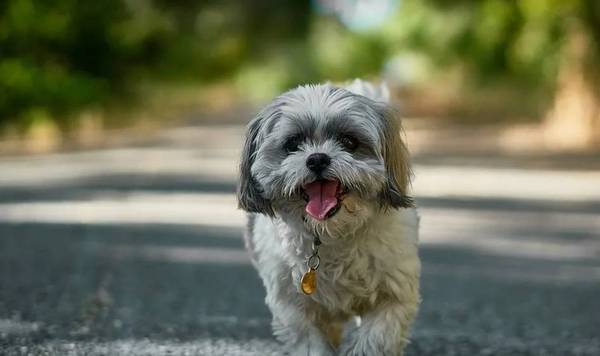 ����˯��ʱ�����鴤������������