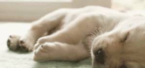 ����˯��ʱ�����鴤������������