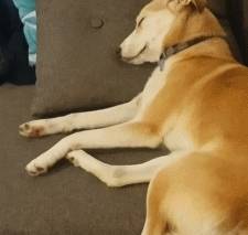 ����˯��ʱ�����鴤������������