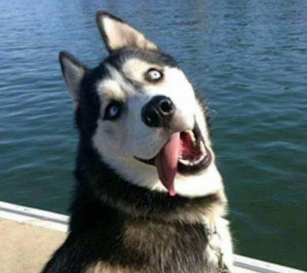 Ϊʲô˵��ʿ�治���Ե���Ȯ����ֻ�������������ϰ��ȡ�óɹ���