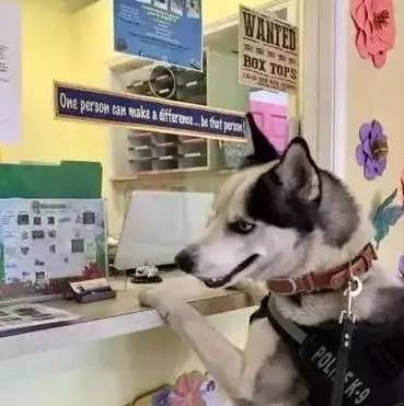 Ϊʲô˵��ʿ�治���Ե���Ȯ����ֻ�������������ϰ��ȡ�óɹ���