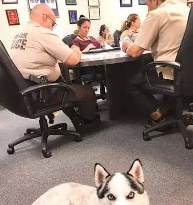 Ϊʲô˵��ʿ�治���Ե���Ȯ����ֻ�������������ϰ��ȡ�óɹ���