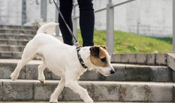 ��ҹ������軵�ļ������֣���ʺ�ٷ�������