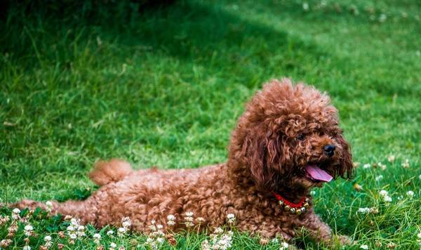 ��ҹ������軵�ļ������֣���ʺ�ٷ�������