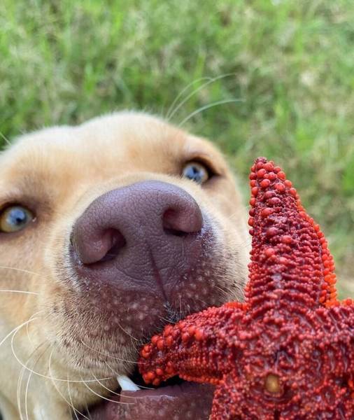 ��ҹ������軵�ļ������֣���ʺ�ٷ�������