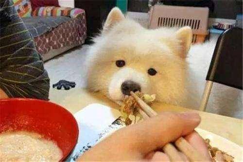 ��ҧ����ͬ������Ե�ɵģ��ù������е�7�ָ�����Ϊ������������