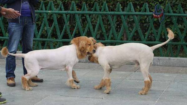 ��ҧ����ͬ������Ե�ɵģ��ù������е�7�ָ�����Ϊ������������