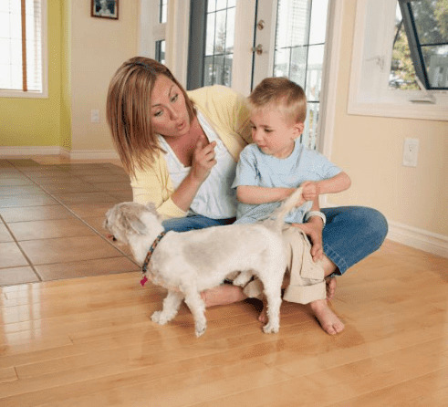 ��ҧ����ͬ������Ե�ɵģ��ù������е�7�ָ�����Ϊ������������