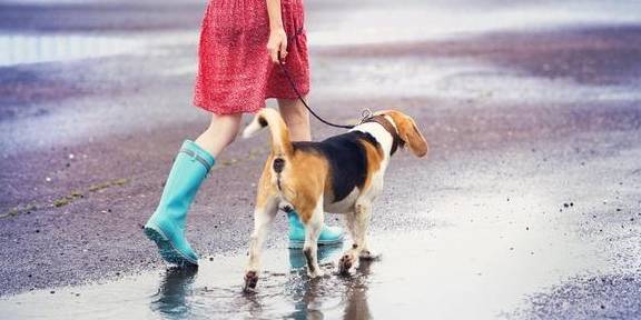 ������5��ѵ����������ʹ�ڻ��⣬������Ȼ������ʱ����