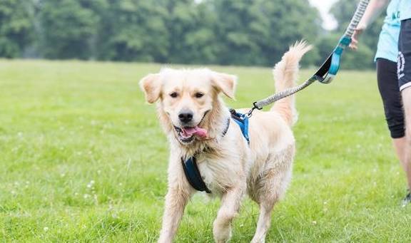 ������5��ѵ����������ʹ�ڻ��⣬������Ȼ������ʱ����