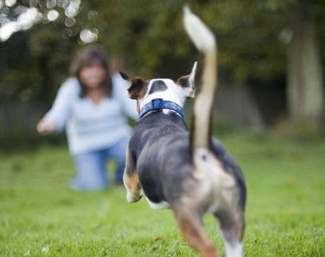 ������5��ѵ����������ʹ�ڻ��⣬������Ȼ������ʱ����