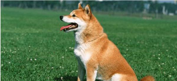 ��ô�������Ĺ���Խ��Խ���ϻۣ���һ����������