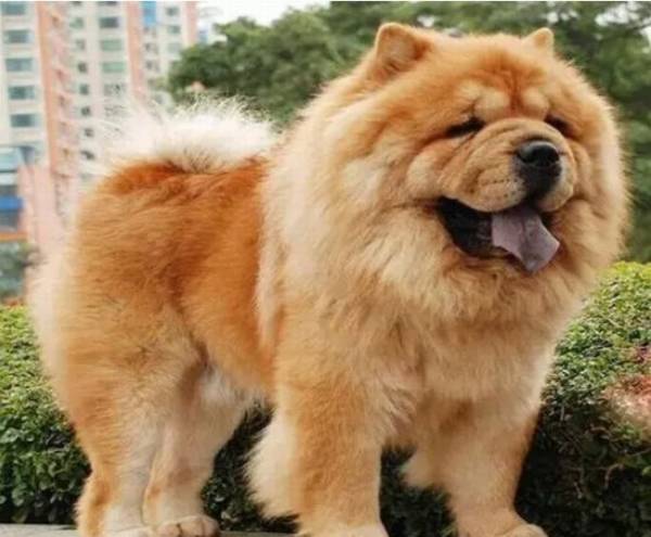 ��ʨȮ��ôѵ��������ָ��