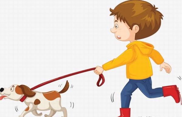 ���޹�����Щ����Ӱ�죿С����������