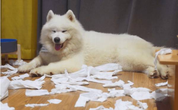 ���޹�����Щ����Ӱ�죿С����������