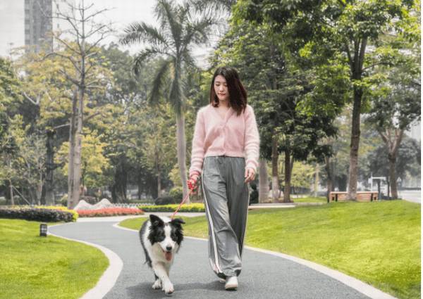 ���������䣬�⼸�������������У��Թ�����̫��