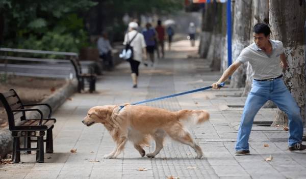 �⼸�ࡰ�й�ʽ��ͥ�޹�������ž����Թ���̫��