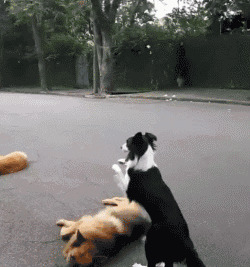 ���ϡ������ޡ���6�ֹ��������� �ʹ���������