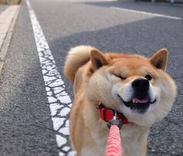 ���ϡ������ޡ���6�ֹ��������� �ʹ���������