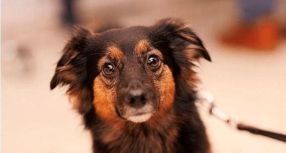 ��ǣ�����Ĺ������ӷ��������꣬�ؼ�Ե�ʾ�����ǣ����������