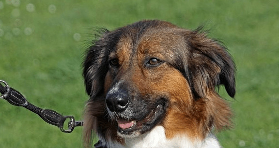 ��ǣ�����Ĺ������ӷ��������꣬�ؼ�Ե�ʾ�����ǣ����������