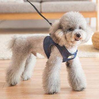 ̩��Ȯ�˶���������Ҳ�������⼸�������޹����𺦷ǳ���