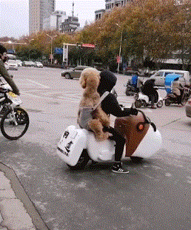 ̩��Ȯ�˶���������Ҳ�������⼸�������޹����𺦷ǳ���