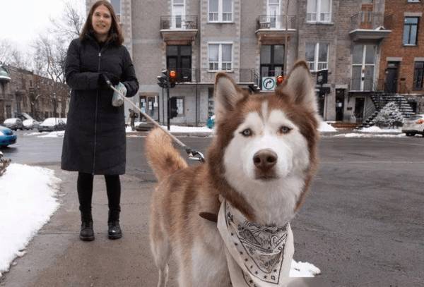 �޹���ʵ�����壬����ֻ�Ǵ����ϲ�����Ҳ����Щ�洦