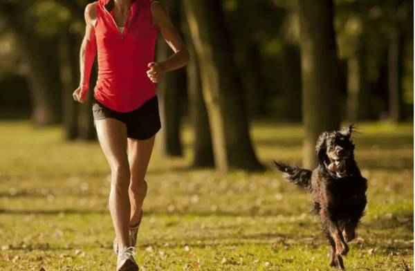 �޹���ʵ�����壬����ֻ�Ǵ����ϲ�����Ҳ����Щ�洦