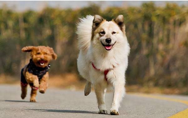 ���������ַ����޹����������𺦹���Ŷ��������Ҫ�˽�