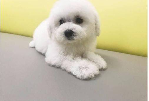 ��������µ�ëǿ�����ô��