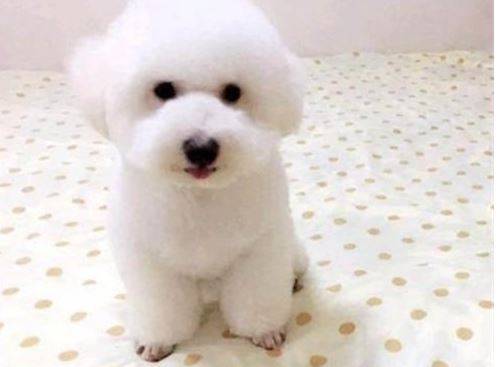 ��������µ�ëǿ�����ô��