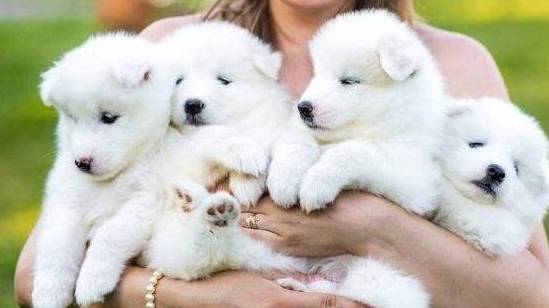 ʲô�����������5�ֲ����Ը�ã�������ë