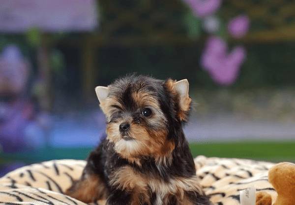 ι����Ȯ��10���ؼ��㣬���˿�Ҫ�����ղغ���