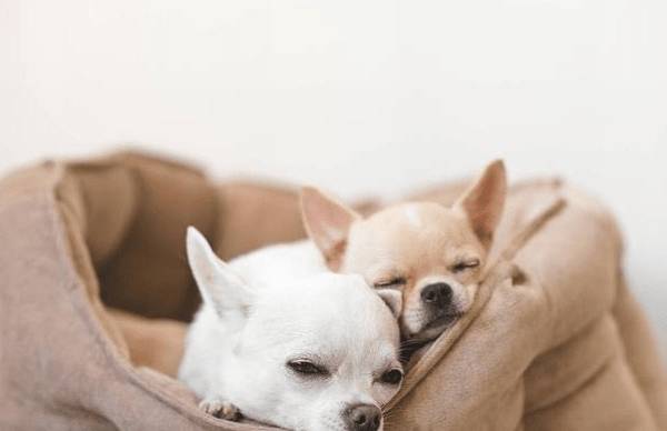 ι����Ȯ��10���ؼ��㣬���˿�Ҫ�����ղغ���