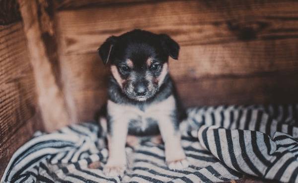 ι����Ȯ��10���ؼ��㣬���˿�Ҫ�����ղغ���