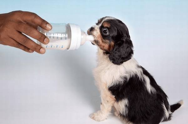 ι����Ȯ��10���ؼ��㣬���˿�Ҫ�����ղغ���