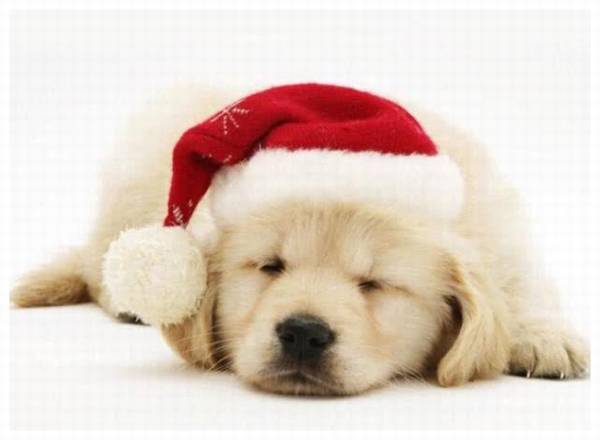 ��Ȯ���������