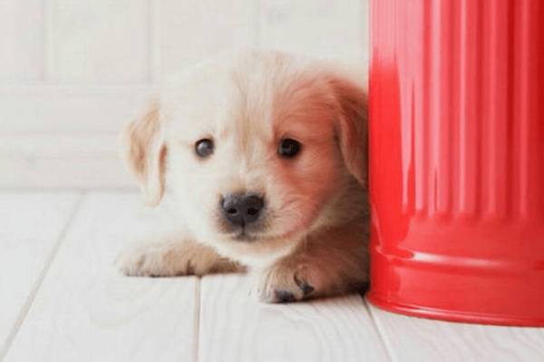 ��Ȯ��ɶ��Ӫ��