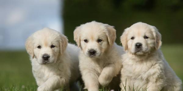 ��Ȯ6��ι��������������ע�����