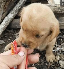 ��Ȯ6��ι��������������ע�����