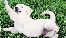 ��Ȯ6��ι��������������ע�����