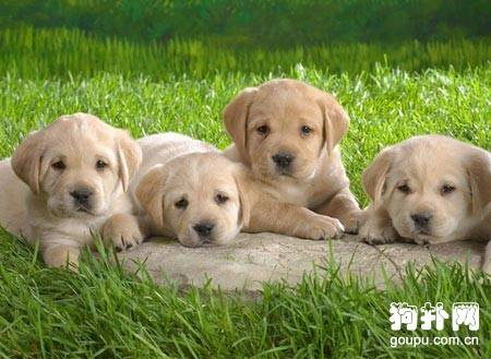 ���ʺ�����Ȯ���ǳ�Ȯ��