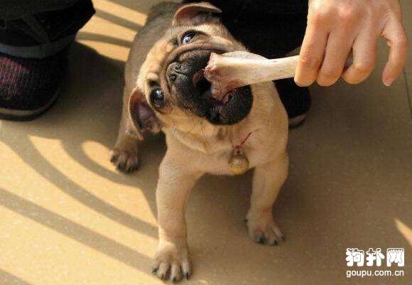 С���Թ�ͷ����ס��ô��?�ҳ����ò�����ι������!